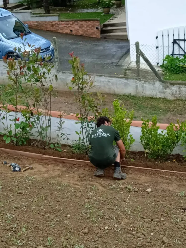 Plantation