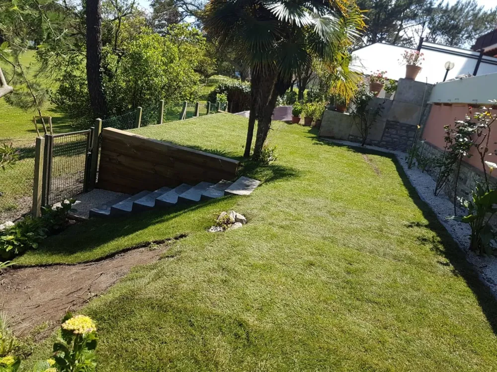 Terrain escaliers